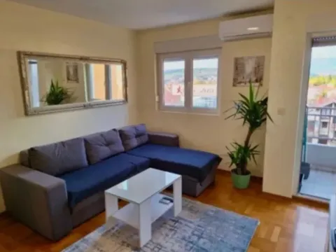 Izdavanje, jednosoban stan, 45m², Stari Aerodrom, Podgorica