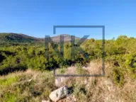 Sale, land lot, 30414m², Lješanska Nahija, Podgorica - image 3