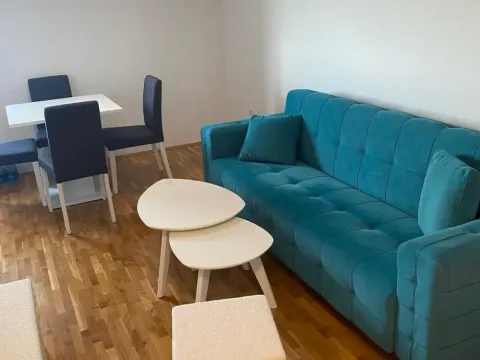 Izdavanje, stan, 23m², Žarkovo, Beograd - image 5