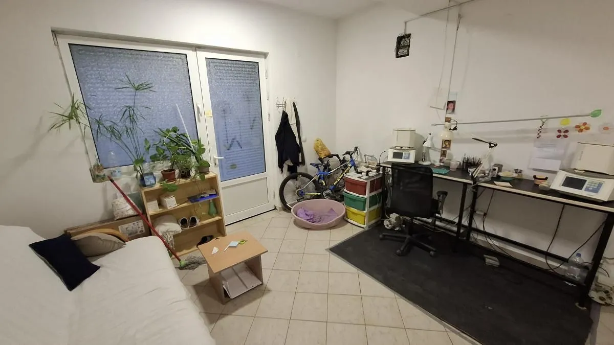 Sale, office space, 36m², Detelinara, Novi Sad Sve Podlokacije