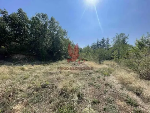 Prodaja, plac, 1000m², Mladenovac, Beograd - image 4