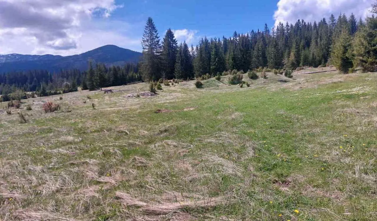 Prodaja, plac, 17500m², Uskoci, Žabljak