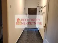 Izdavanje, dvosoban stan, 50m², Vračar Sve Podlokacije, Beograd - image 4