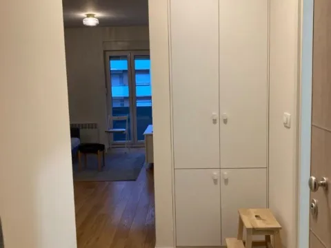 Prodaja, jednosoban stan, 40m², Central Point, Podgorica - image 2