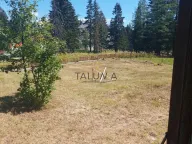 Sale, house, 168m², Centar, Žabljak - image 4