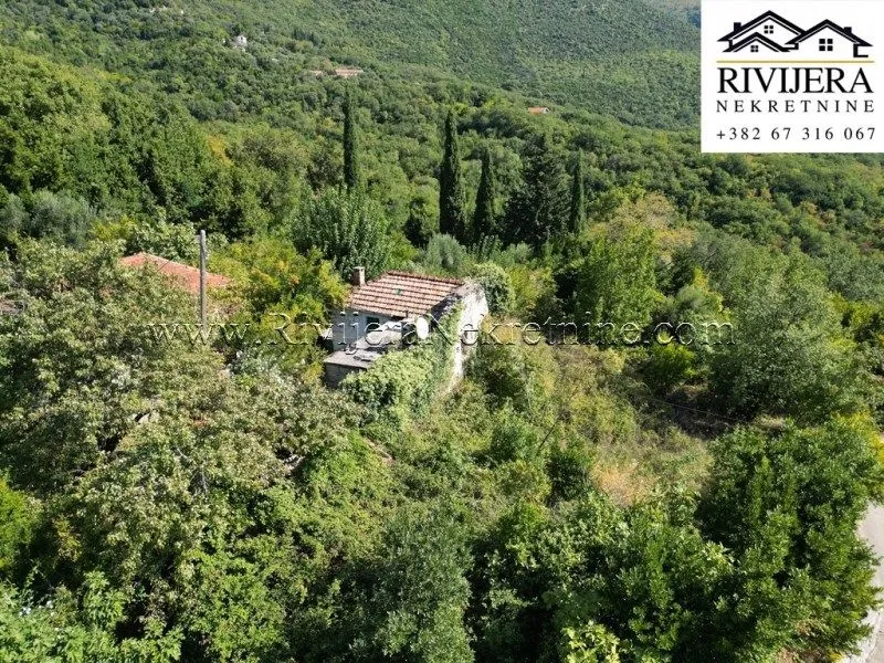 Prodaja, plac, 354m², Zelenika, Herceg Novi