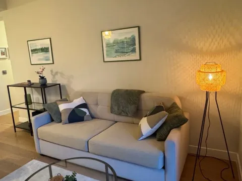 Rent, two bedroom apartment, 47m², Novi Beograd Blok 65, Novi Beograd Sve Podlokacije - image 4