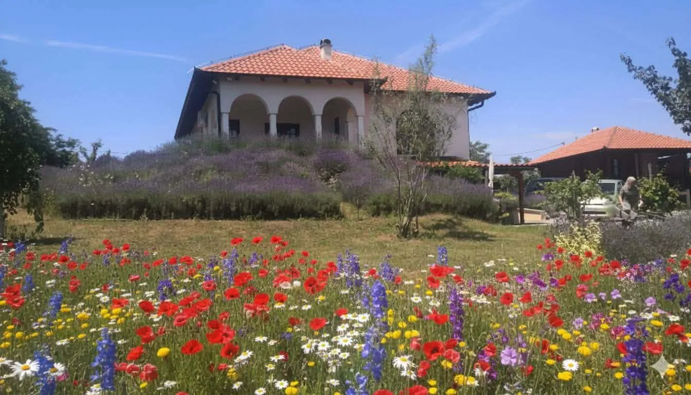 Prodaja, kuća, 345m², Babe, Sopot