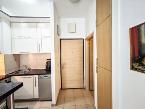 Izdavanje, jednosoban stan, 42m², Ljubović, Podgorica - image 5