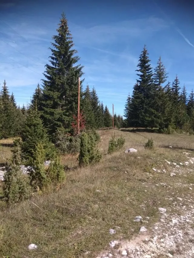 Prodaja, plac, 17803m², Žabljak, Crna Gora