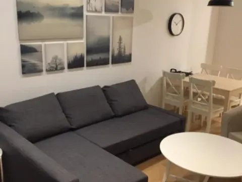 Izdavanje, dvosoban stan, 47m², Stari Grad, Beograd - image 11