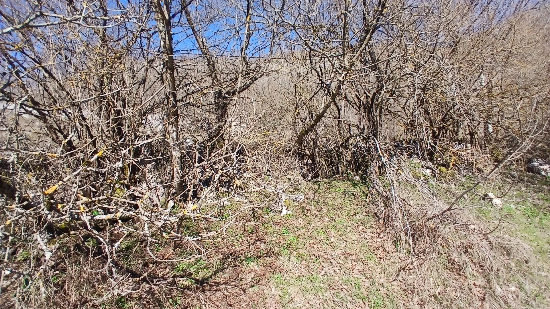 Prodaja, plac, 6256m², Čevo, Cetinje