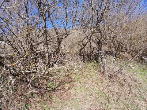 Prodaja, plac, 6256m², Čevo, Cetinje - image 13