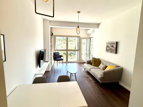 Rent, one bedroom apartment, 48m², Preko Morače, Podgorica - image 5