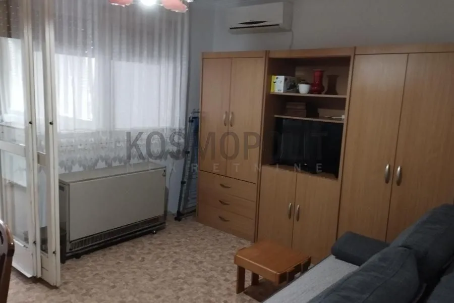 Living room with a sofa, wooden cabinets, and a television.
