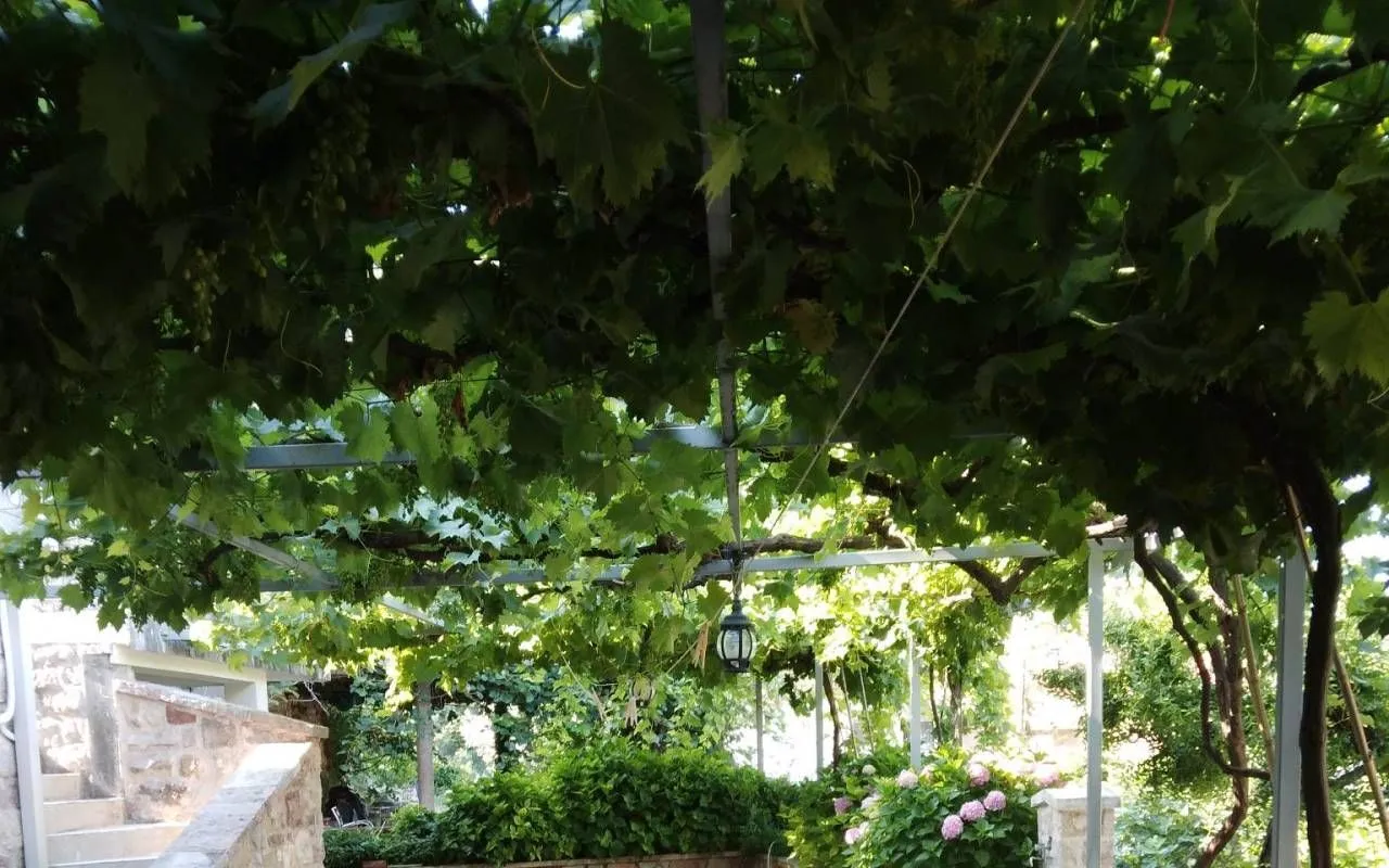 Stan-na-dan, kuća, 120m², Pržno, Budva