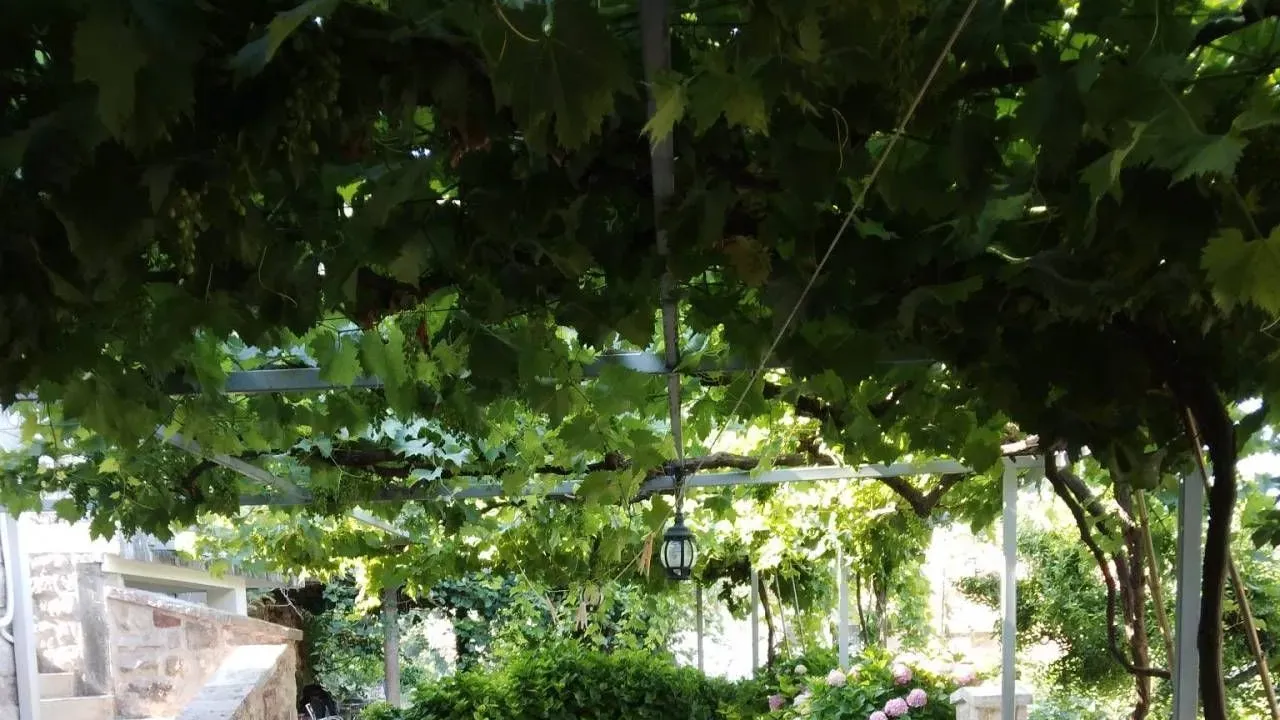 Stan-na-dan, kuća, 120m², Pržno, Budva