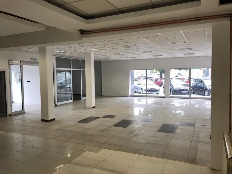 Izdavanje, poslovni prostor, 280m², Altina, Beograd