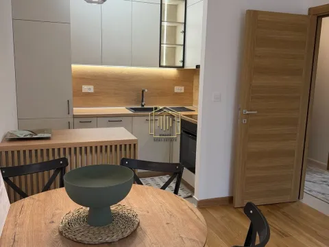 Izdavanje, jednosoban stan, 46m², New City, Podgorica - image 2