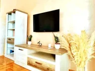 Izdavanje, garsonjera, 30m², Tuški Put, Podgorica - image 2