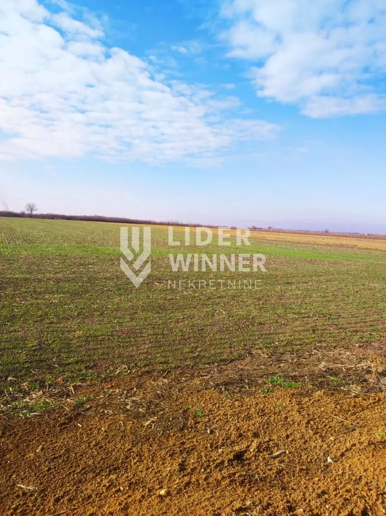 Prodaja, plac, 9900m², Zemun Ugrinovci, Zemun Sve Podlokacije