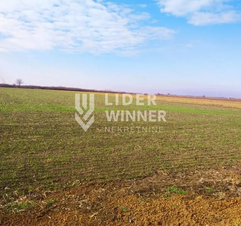 Sale, land lot, 9900m², Zemun Ugrinovci, Zemun Sve Podlokacije