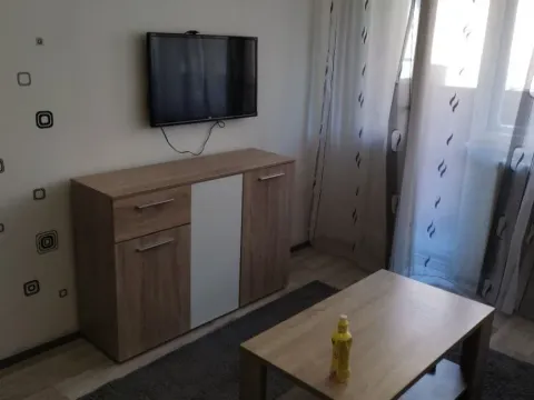 Izdavanje, dvosoban stan, 40m², Palilula, Niš - image 9