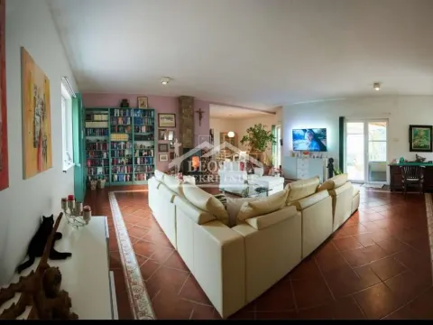 Prodaja, kuća, 304m², Kikinda, Srbija - image 2