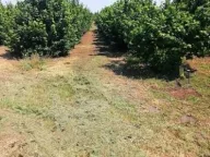 Prodaja, plac, 47000m², Bački Vinogradi, Subotica - image 1