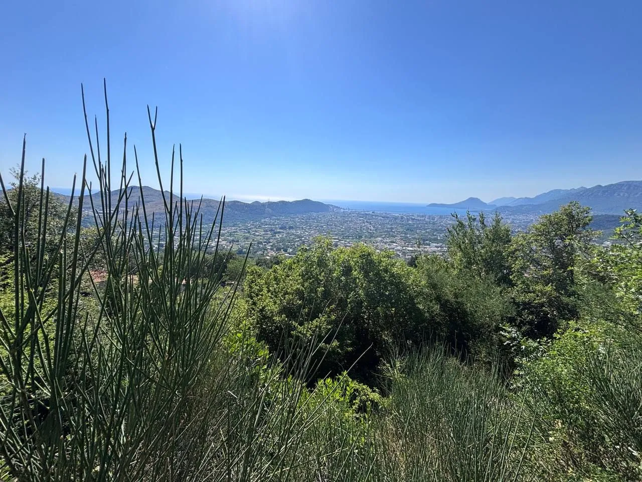 Sale, land lot, 6500m², Centar, Bar
