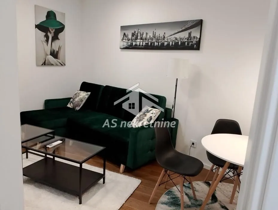 Izdavanje, stan, 40m², Hala Pionir, Palilula Sve Podlokacije