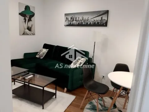 Izdavanje, stan, 40m², Hala Pionir, Palilula Sve Podlokacije - image 4