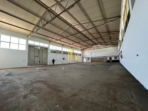Izdavanje, poslovni prostor, 900m², Veternik, Novi Sad Sve Podlokacije