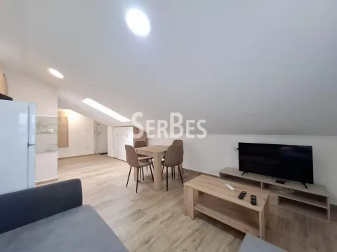 Izdavanje, stan, 25m², Adice, Novi Sad Sve Podlokacije - image 3