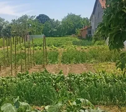 Sale, land lot, 1100m², Rakitovo, Jagodina - image 5