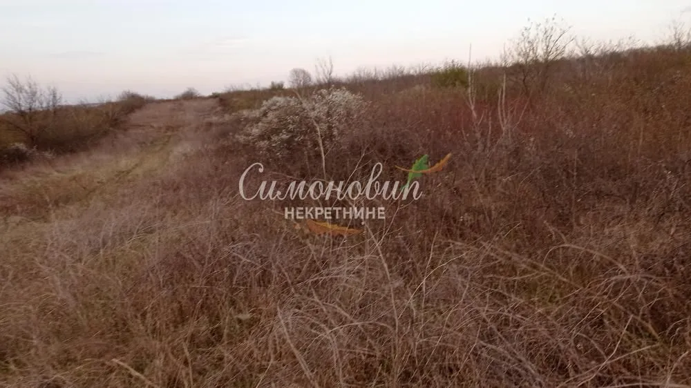 Sale, land lot, 7800m², Železnik, Beograd