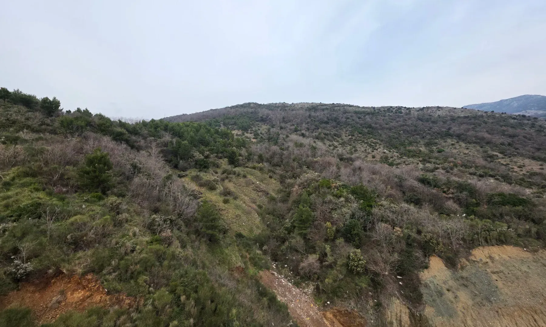 Prodaja, garsonjera, 43m², Bečići, Budva