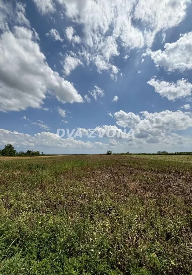Prodaja, plac, 1000m², Čortanovci, Inđija