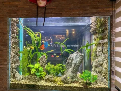 Izdavanje, trosoban stan, 155m², Neimar, Vračar Sve Podlokacije - image 31