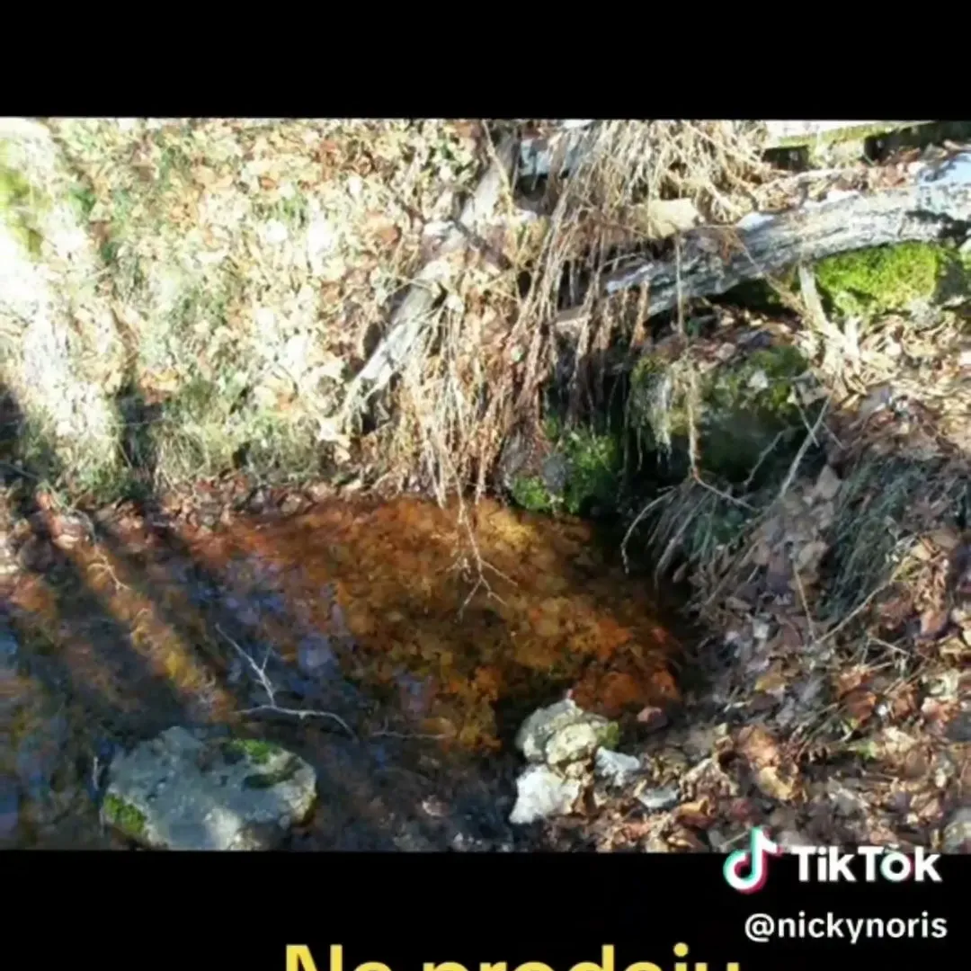Prodaja, plac, 100000m², Sela, Kolašin