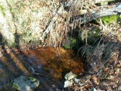 Prodaja, plac, 100000m², Sela, Kolašin - image 6