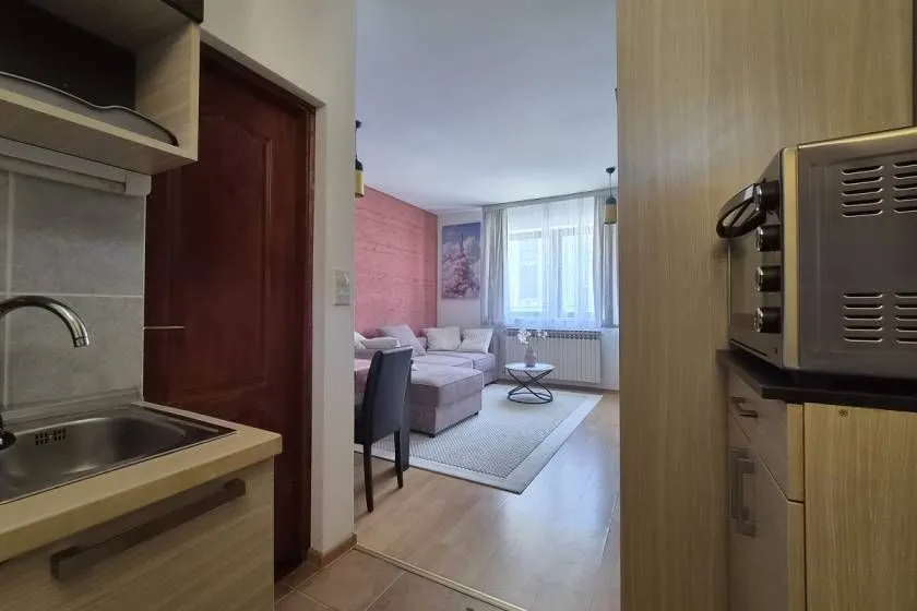 Rent, one bedroom apartment, 24m², Banovo Brdo, Beograd