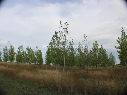 Prodaja, plac, 1378m², Zrenjanin, Srbija - image 17