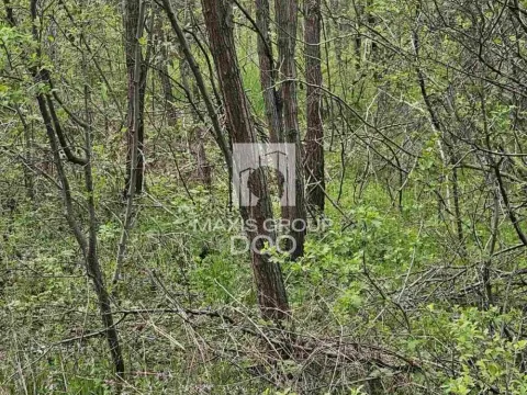 Prodaja, plac, 976m², Draževac, Obrenovac - image 14