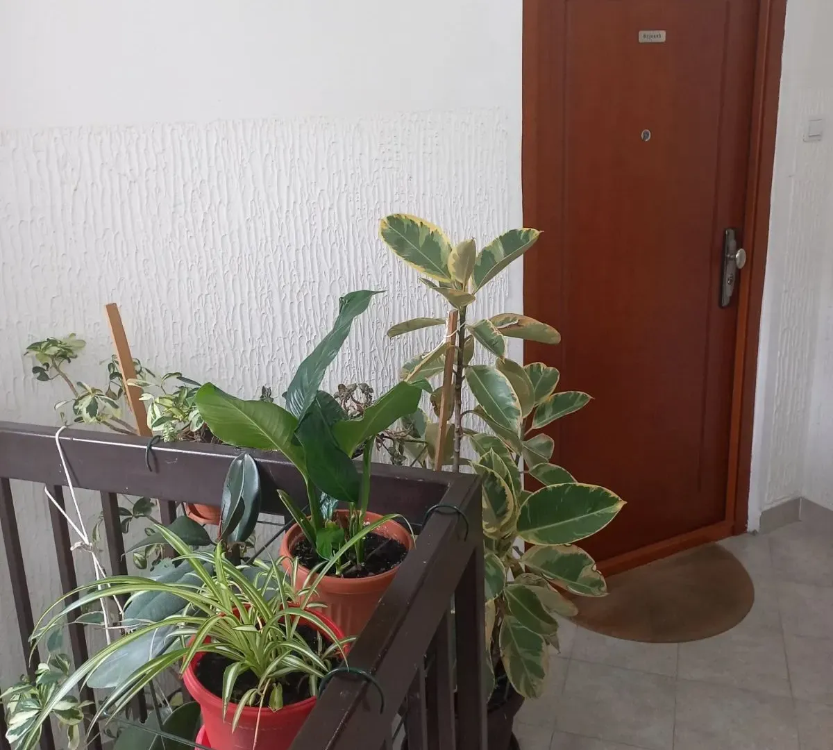 Prodaja, stan, 75m², Budva, Crna Gora