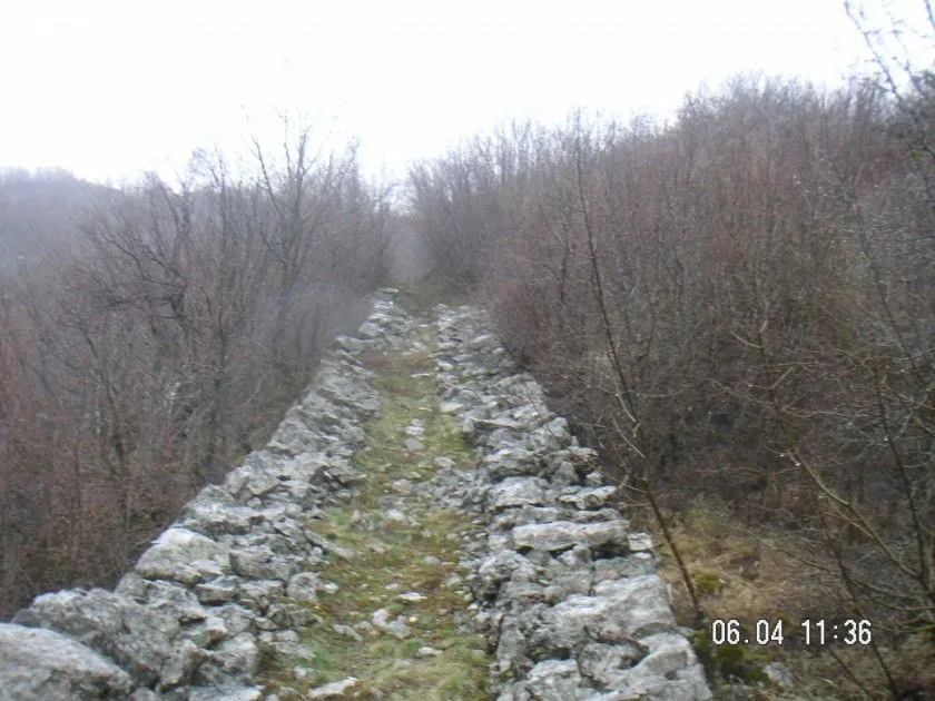 Stari kameni put okružen šumom i rastinjem.