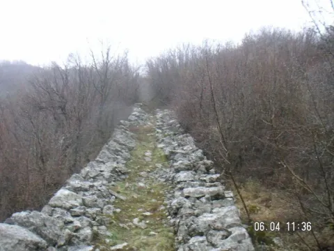 Stari kameni put okružen šumom i rastinjem. - image 8