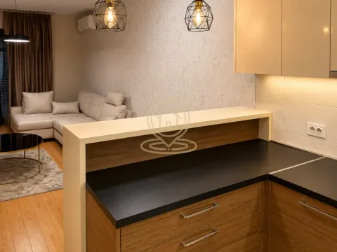 Izdavanje, dvosoban stan, 55m², Južni Bulevar, Vračar Sve Podlokacije - image 2