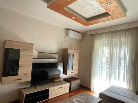 Izdavanje, jednosoban stan, 40m², Stari Aerodrom, Podgorica - image 2