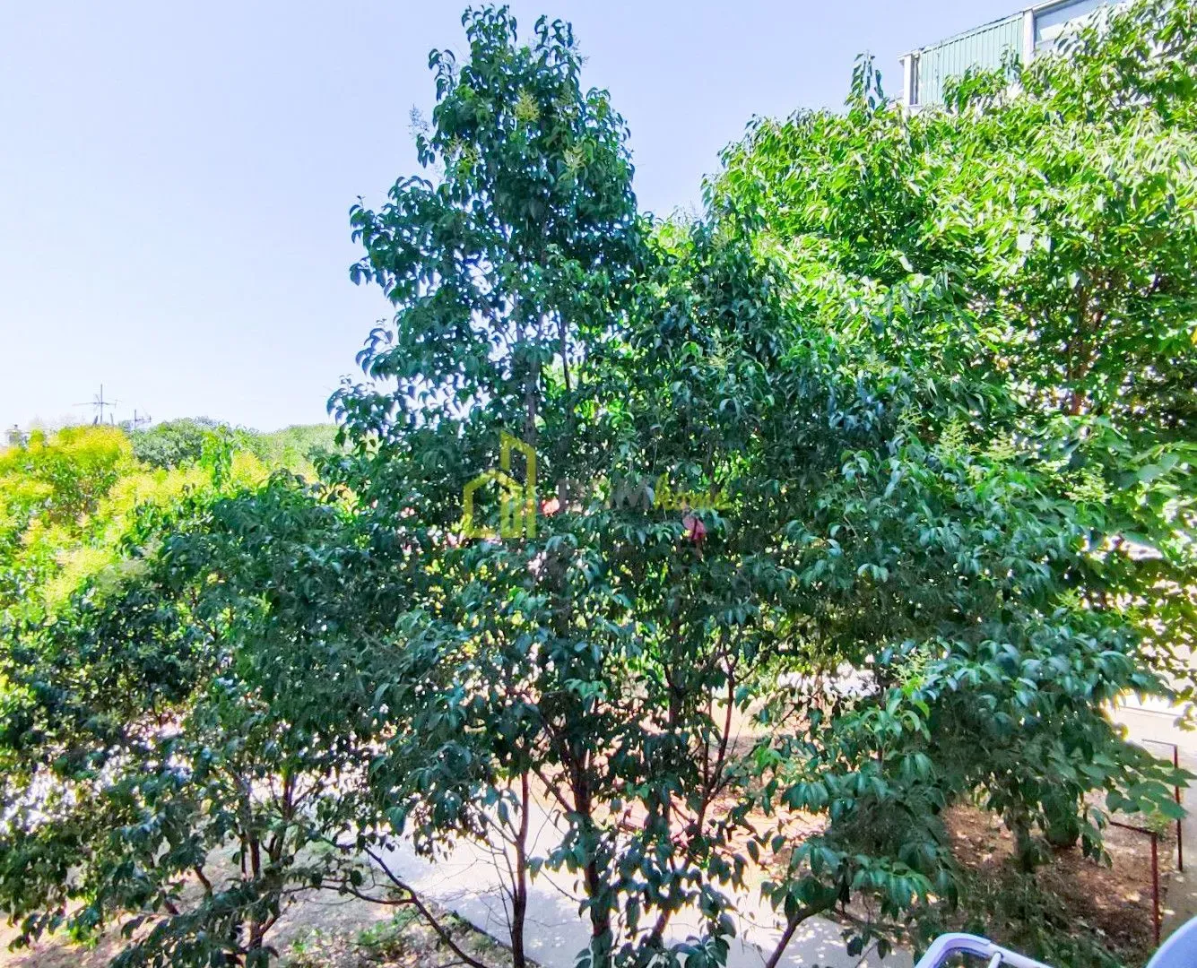 Rent, one bedroom apartment, 37m², Zabjelo, Podgorica